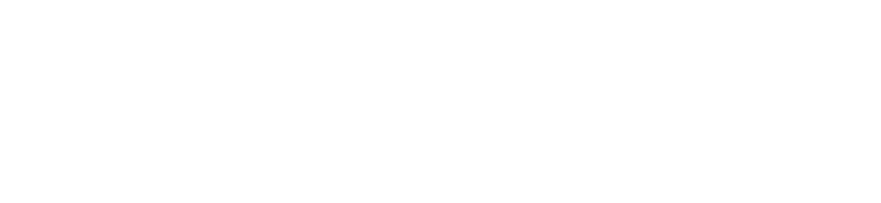 Rosseti Bolivia S.R.L.